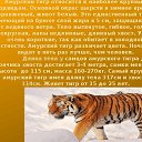 ���� �����, ���������, 51 ��� - ��������� 19 ������ 2023 � ������ ���� ����������