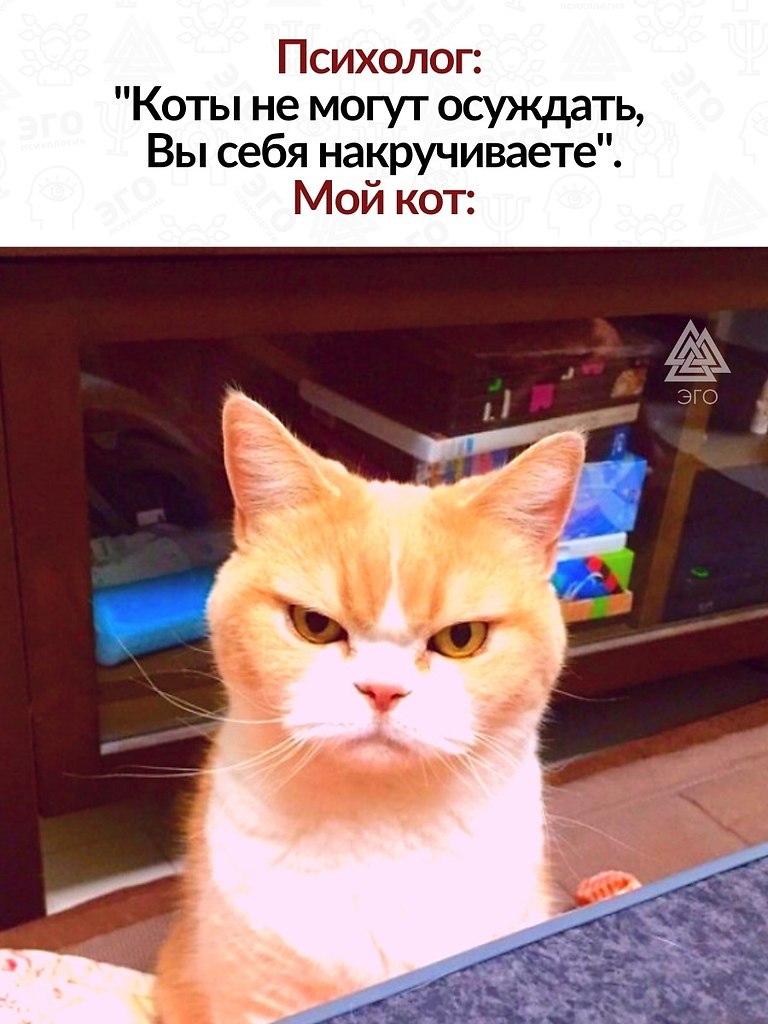   ,    .  ...