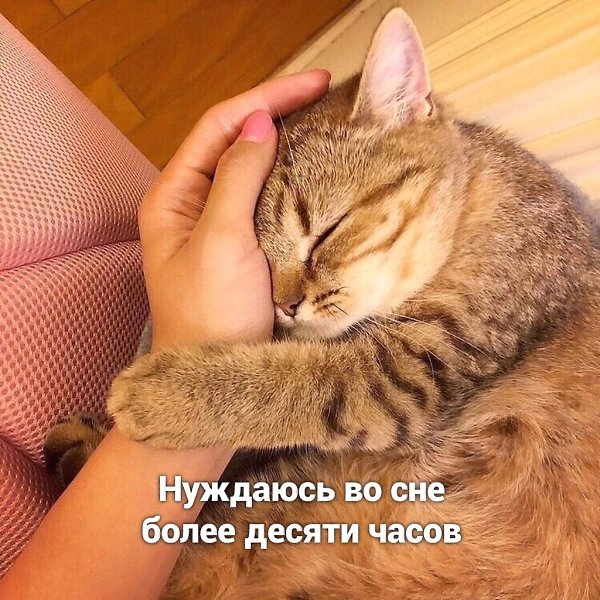    ? - 4