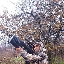 �����, ������, 36 ���