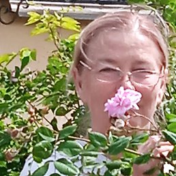 , 59, 
