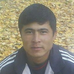 �����, ������, 41 ���