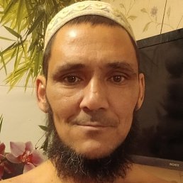 �����, �����������, 44 ����