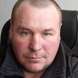 �����, �������, 41 ���