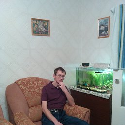 , 39, 