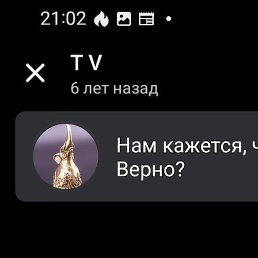 �����, ������, 51 ���