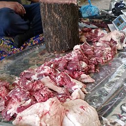 ���, ���������, 36 ���