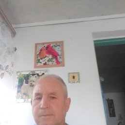 , 53, 