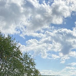 �������, ������, 50 ���