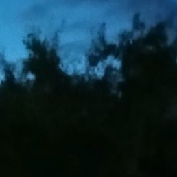 �������, ������, 43 ����