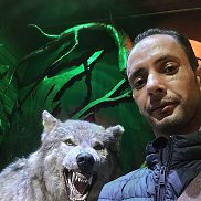 ������, 41 ���, ������