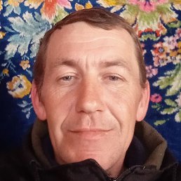 ������, �������, 44 ����