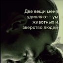���� �), ���� - ��������� 18 ������� 2024 � ������ ������ ��������