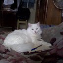 ���� ���������, �����-���������, 79 ��� - ��������� 14 ������ 2025 � ������ ������ ��������