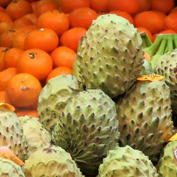 Mg, ���������, 37 ���