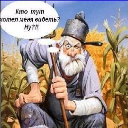 ���� ���������, �����, 48 ��� - ��������� 19 ������ 2026