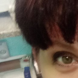 �������, �����������, 53 ����