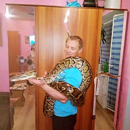  , 41, 