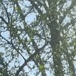 �������, ������, 48 ���