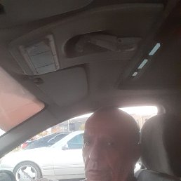 , 65, 