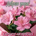 ���� �����, ���������, 49 ��� - ��������� 21 ��� 2025 � ������ ������ ��������