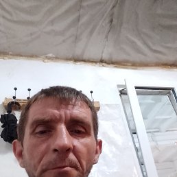 , 41 , 