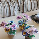 ���� ��������, �����-���������, 67 ��� - ��������� 6 ������� 2025 � ������ ���� ����������