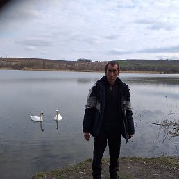 ������, ���������, 53 ����