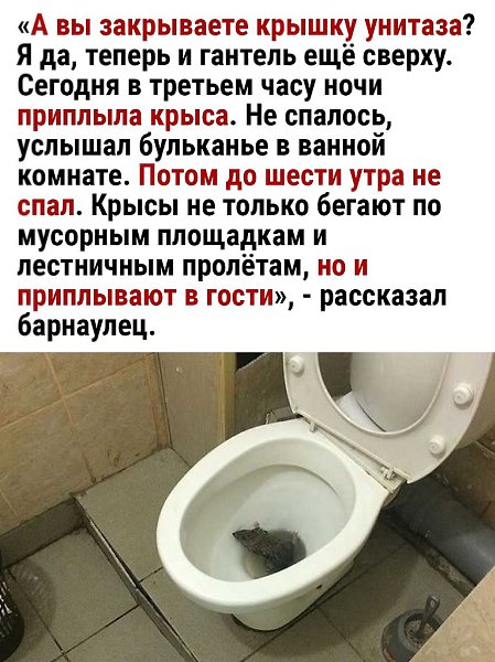  - 11  2025  18:58 - 2