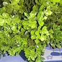 ���� ��������, ������, 42 ���� - ��������� 21 ������� 2025 � ������ ���� ����������