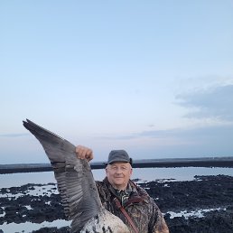 ���� �������, ����, 69 ��� - ��������� 4 ���� 2026