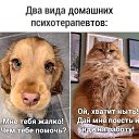 ���� ����, �����-��������� - ��������� 21 ������ 2026 � ������ ������ ��������