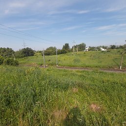 ���������, ����, 24 ����