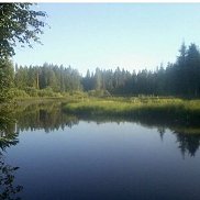 �������, 52 ����, �����-���������