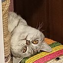 ���� �����, �������, 64 ���� - ��������� 22 ������ 2025 � ������ ������ ��������