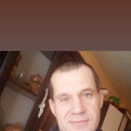 ���� �������, ���������, 42 ���� - ��������� 29 ����� 2026