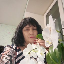 , 52, 