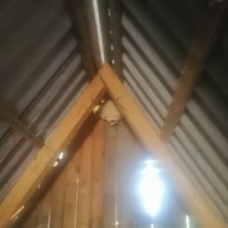  , , 18 