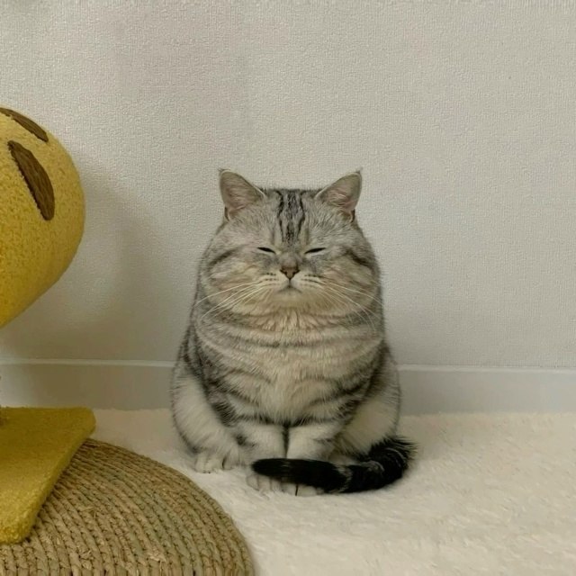 ���� -���