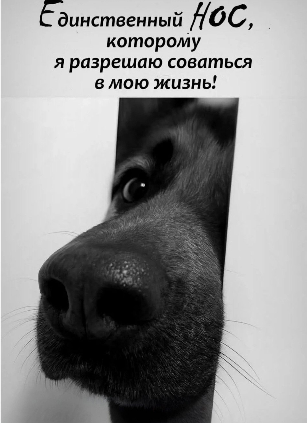 *T* - 22  2025  09:55