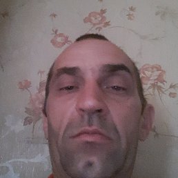, , 41 