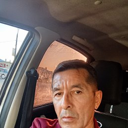 , 52, 