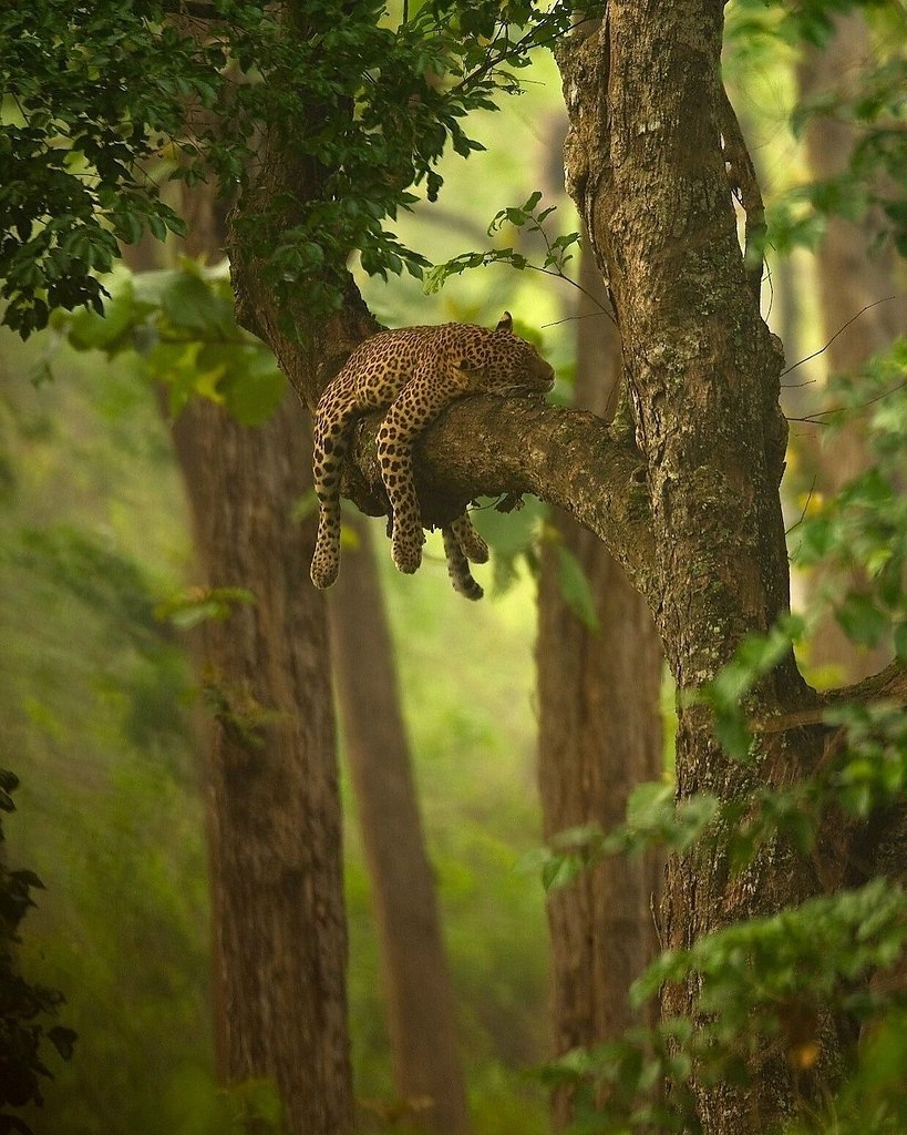     ,    .       ... - 2