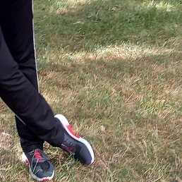 �����, ������, 54 ����