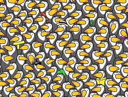 �����������