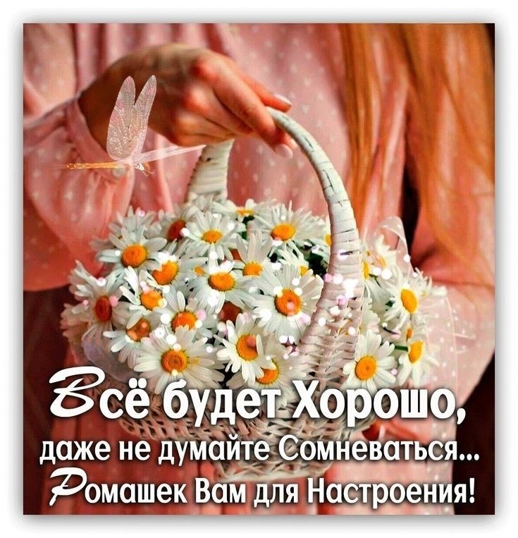  - 26  2024  16:55