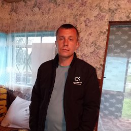 , 29, 