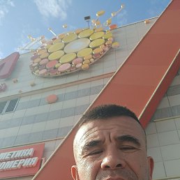 , 42, 