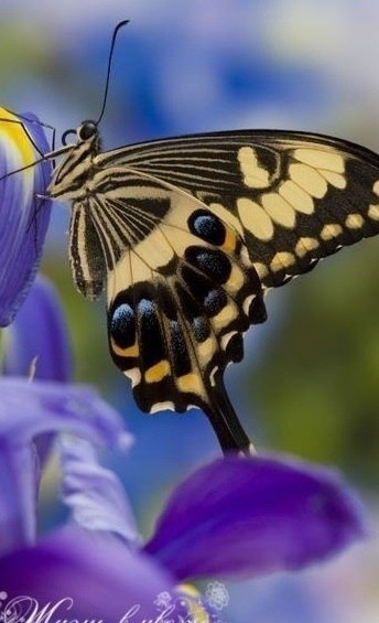      .  ,      ,   ... - 3