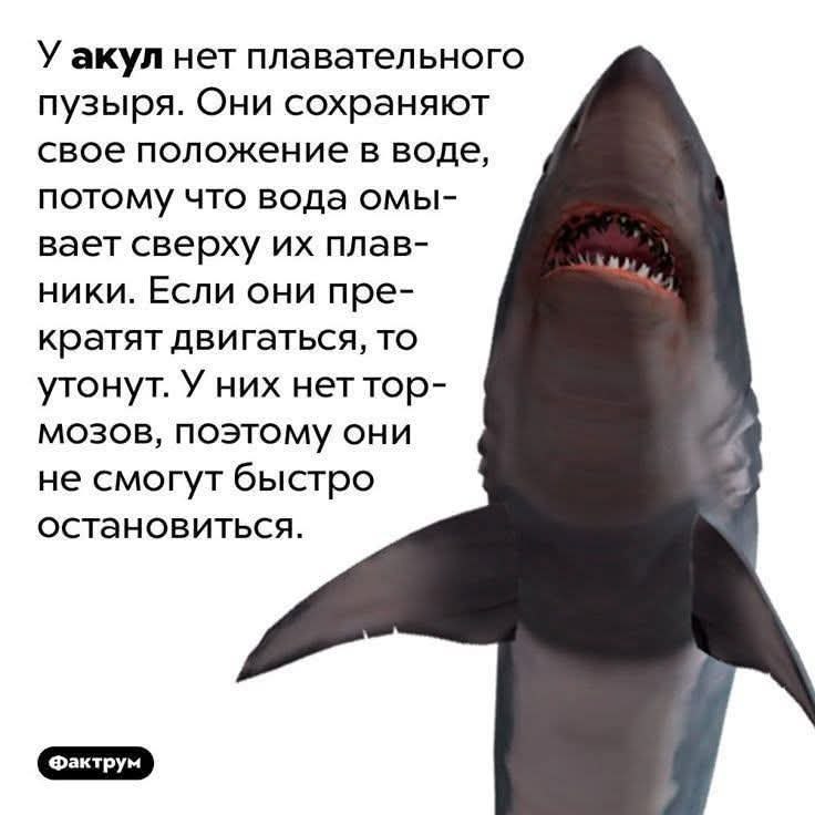 :)